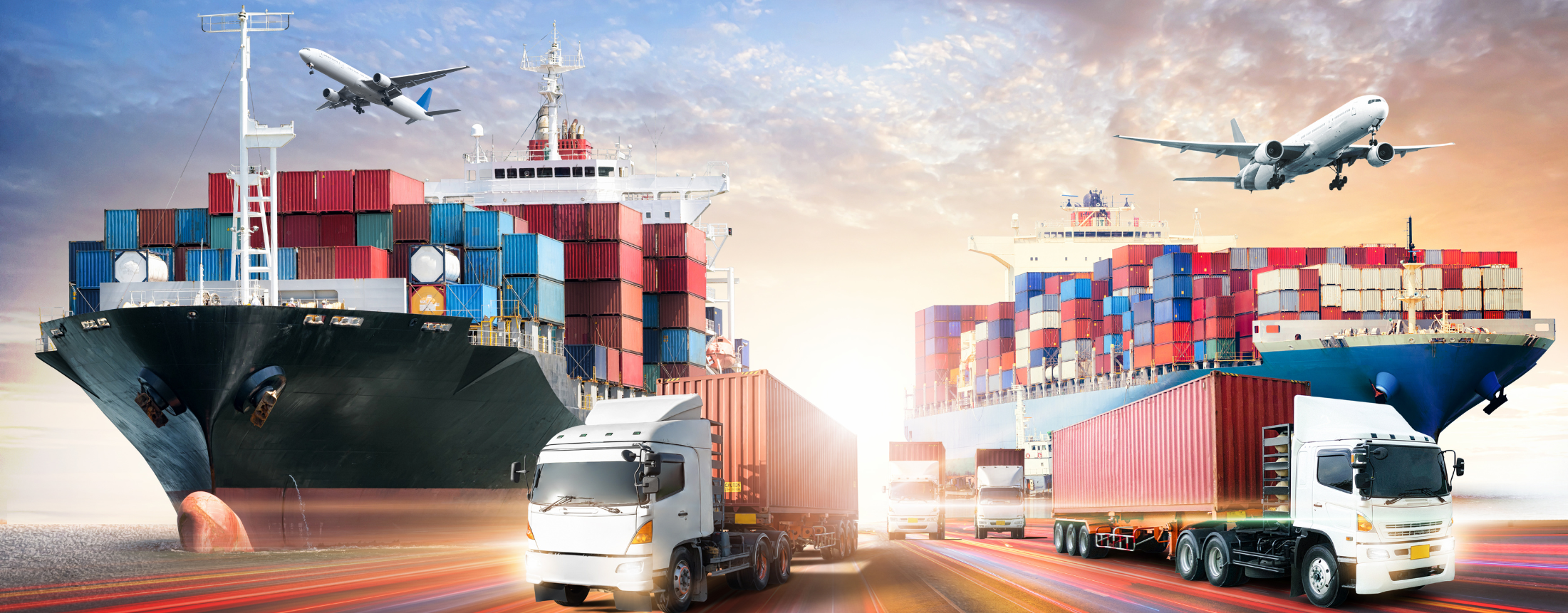 Sunny Logistics
